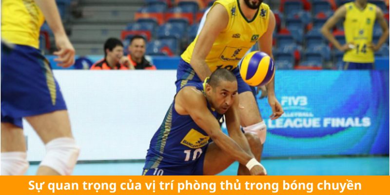 Sự quan trọng của vị trí phòng thủ trong bóng chuyền