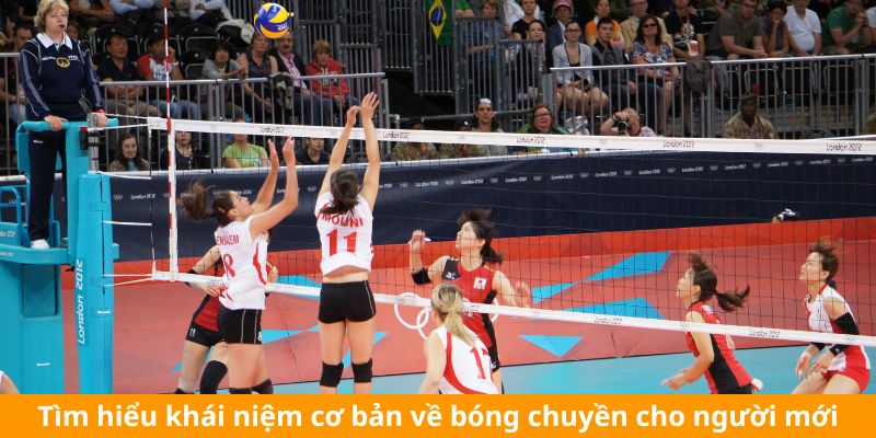 Tìm hiểu khái niệm cơ bản về bóng chuyền cho người mới