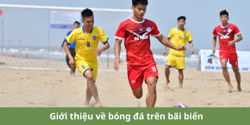 Khám phá bóng đá bãi biển