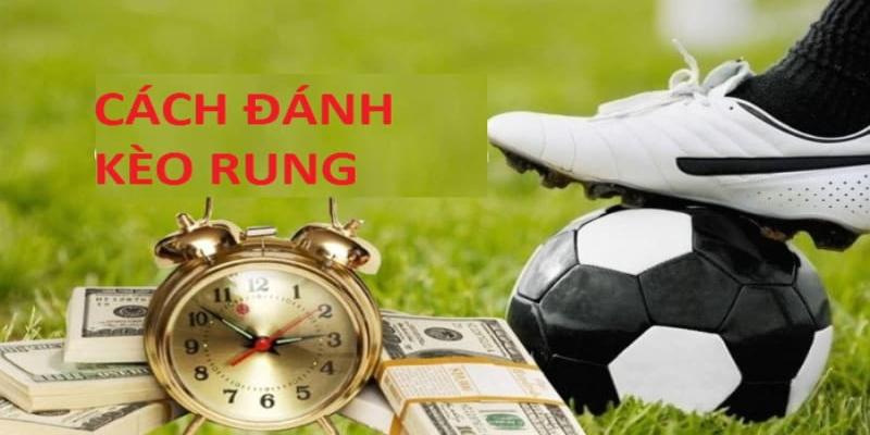 Hướng dẫn người mới tham gia cược rung đúng cách