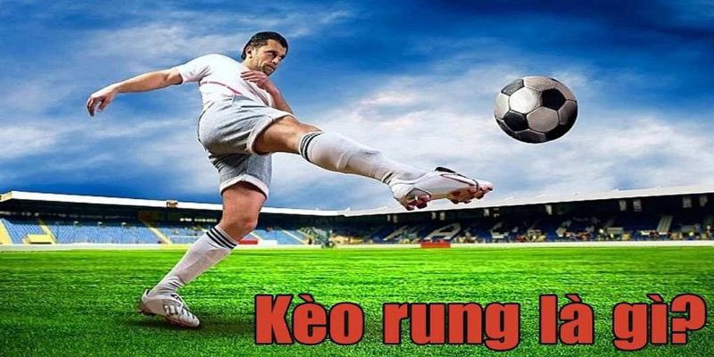 Tổng quan về cược rung trong hoạt động cá độ